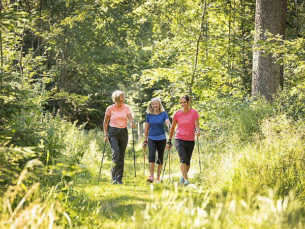 Bad Grönenbach Nordic Walking & Terrainwege