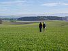 Panoramarunde