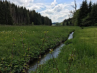 Idyllische Pfaffenhaldenrunde