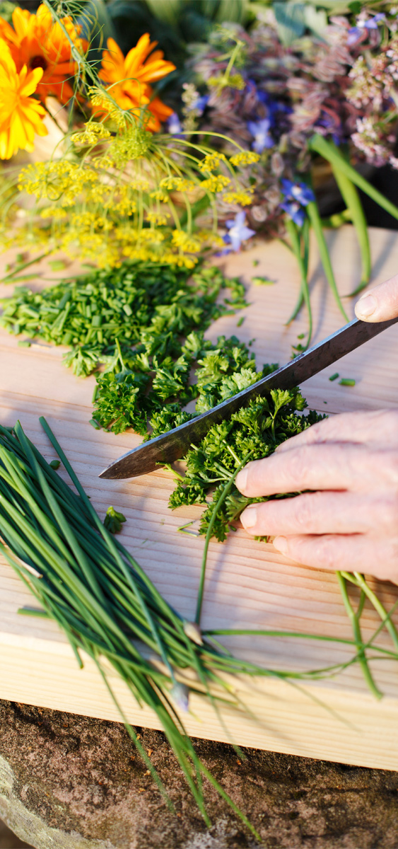 Kneipp aktiv gesund