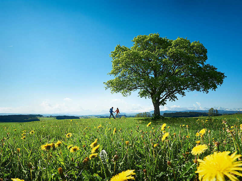 Wandertrilogie Allgäu