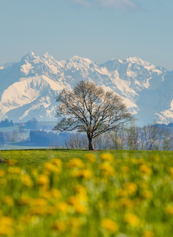 Natur & Bewegung